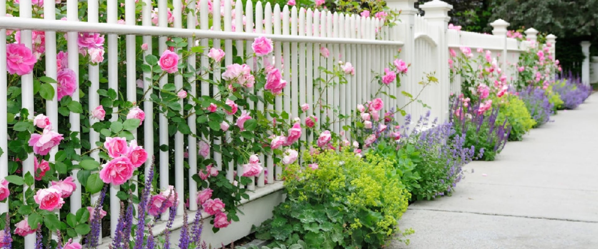 Garden Fencing Ideas to Enhance Your Landscape Design