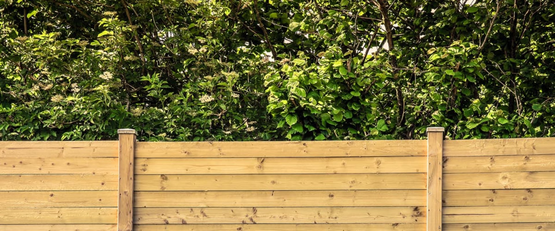 The Most Affordable Fencing Options for Your Home: Expert Insights