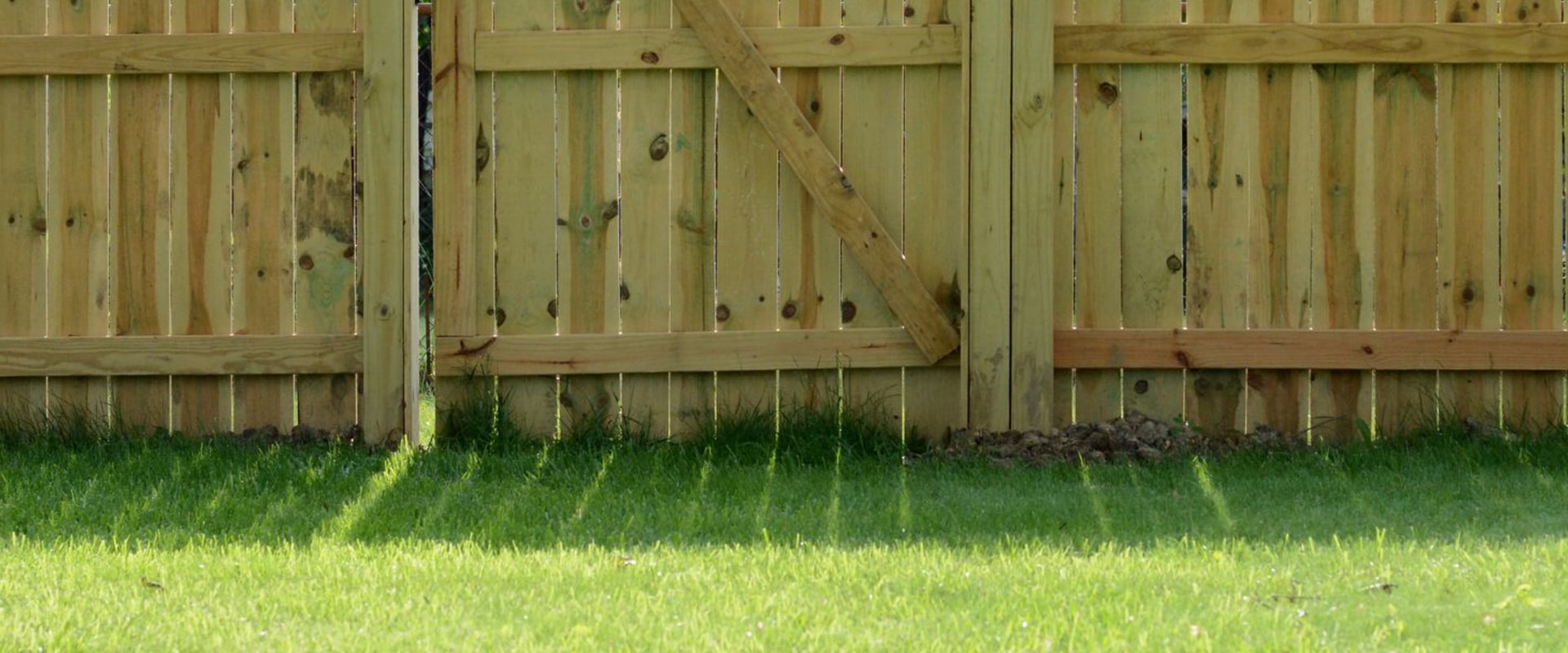 10 Affordable Fencing Options for Your Home