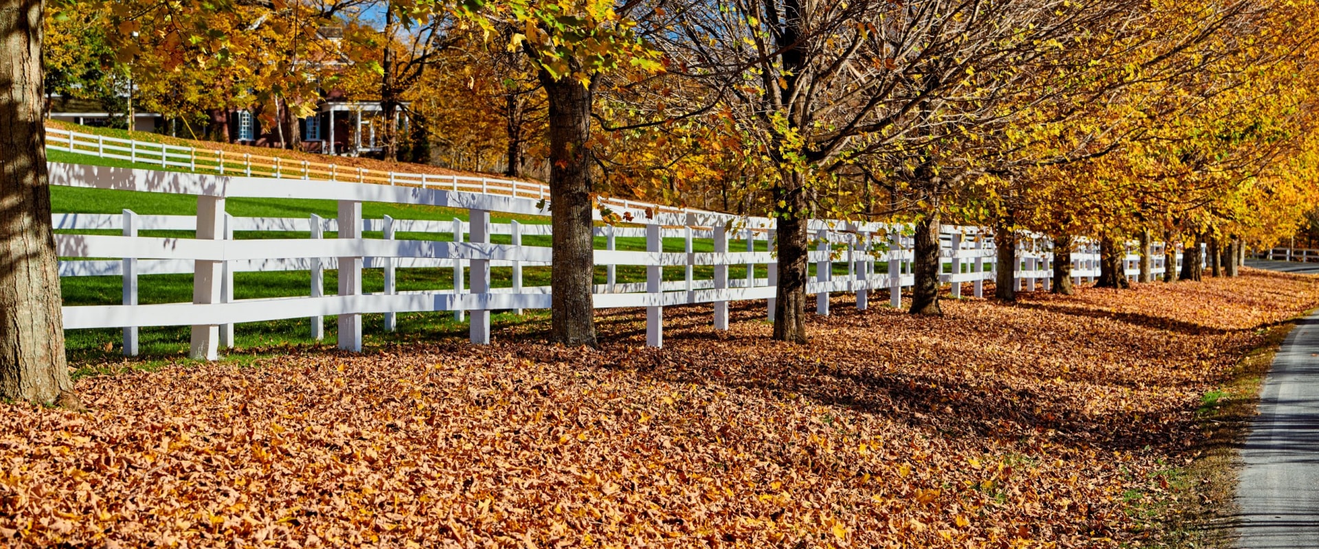 The Benefits of Installing a Fence in Fall and Winter