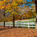 The Benefits of Installing a Fence in Fall and Winter