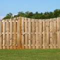 The Most Affordable Fences: Expert Tips and Tricks