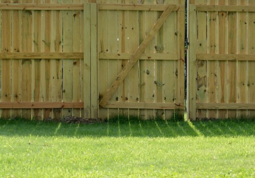 10 Affordable Fencing Options for Your Home