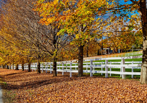 The Benefits of Installing a Fence During the Off-Season